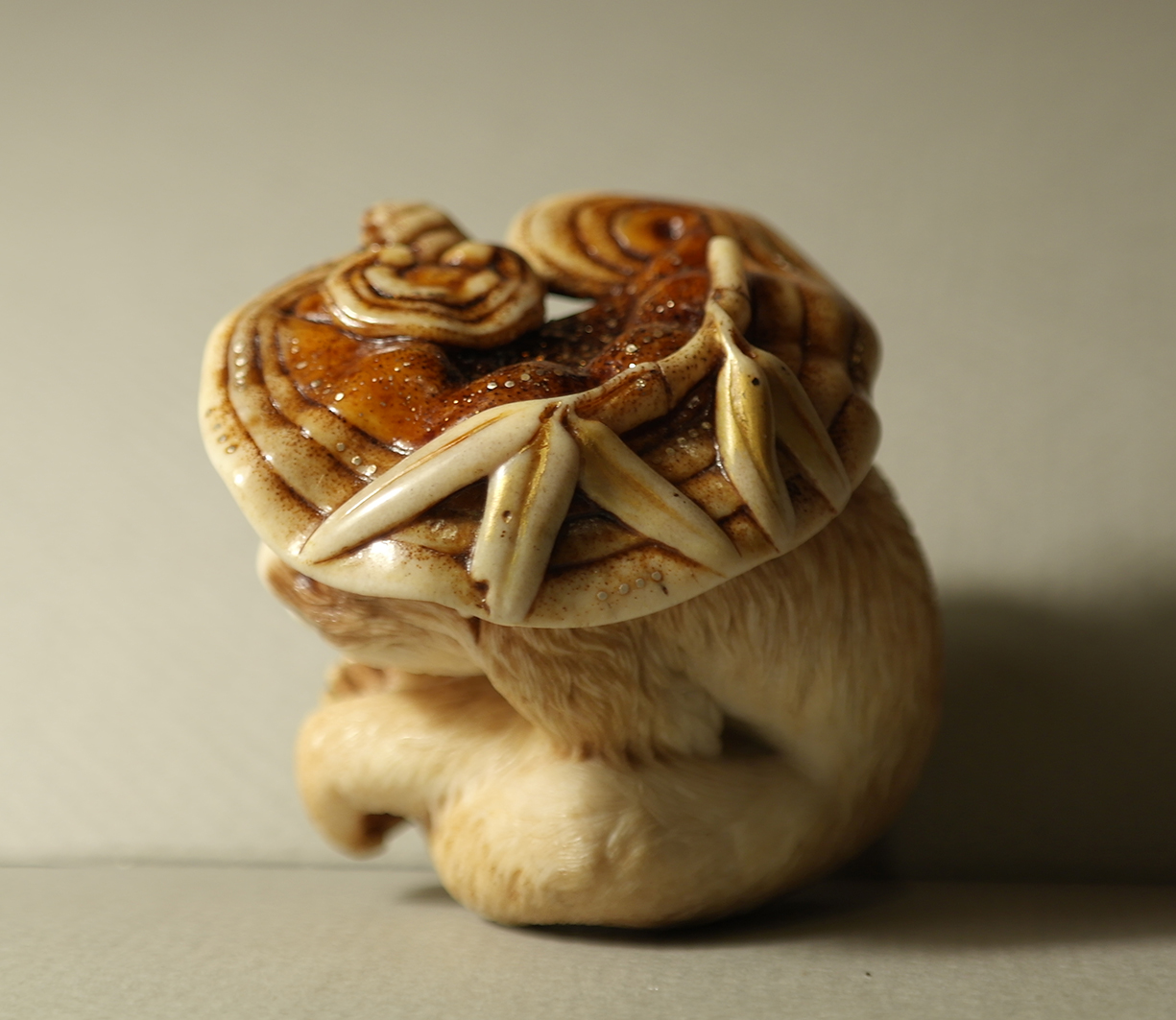 Monkey and reishi008